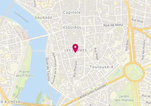 Plan de BRUGIDOU TREZIERES Geneviève, 10 Place des Carmes, 31000 Toulouse