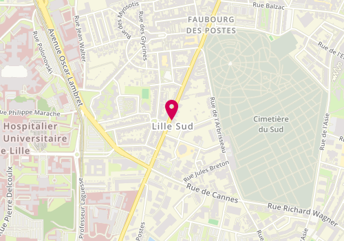 Plan de DUBOIS Peggy, 205 Rue du Faubourg des Postes, 59000 Lille