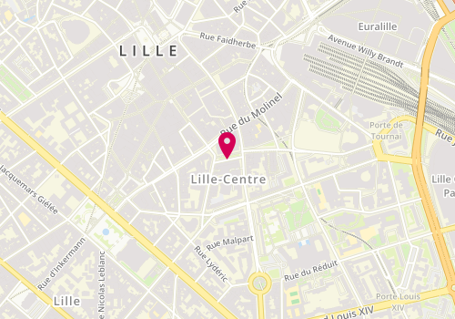 Plan de DEBEIRE Adèle, 223 Rue Pierre Mauroy, 59000 Lille